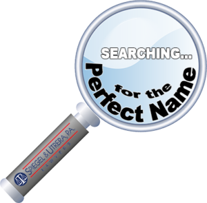 New-Jersey-llc-name-search