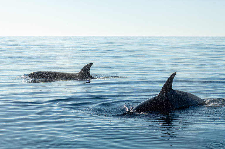 How a Real Estate Closing Attorney Helps Protect Your Deal