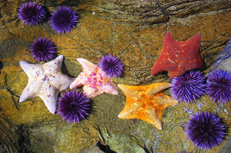 Florida Commercial Lease Review: Why It Matters Before You Sign