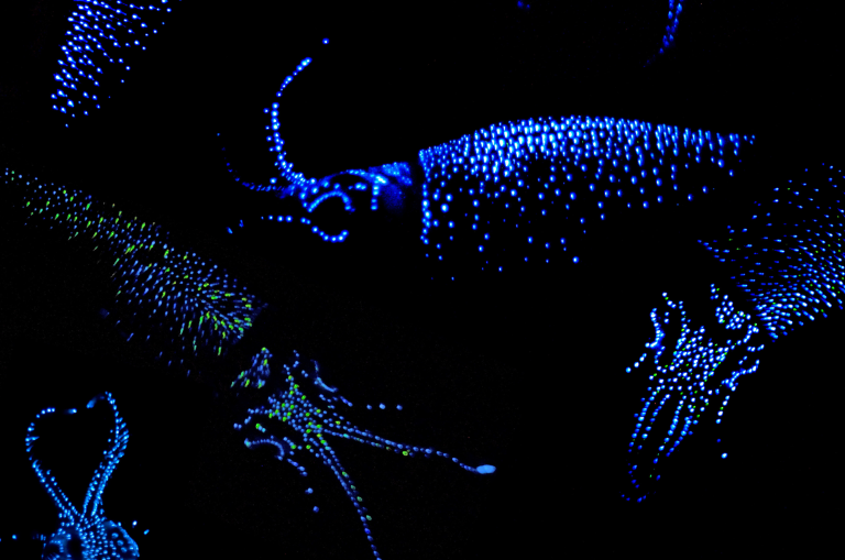 Do Your Non Compete Agreements Comply With the Florida CHOICE Act