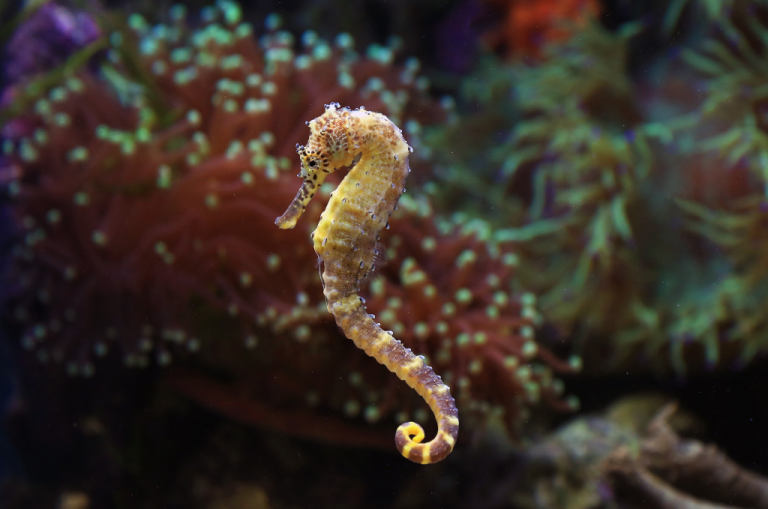 Why Your Business Should Register a Trademark Early