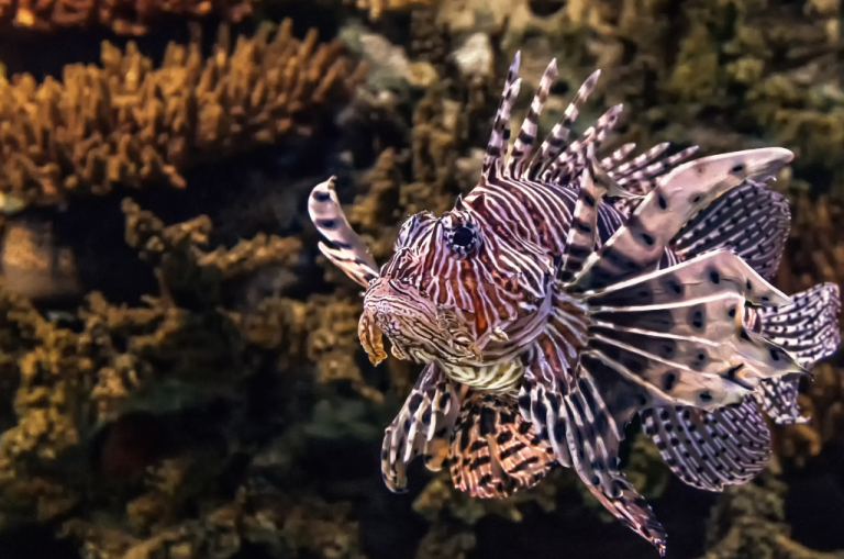 How a Florida LLC Statement of Authority Helps Protect Real Estate