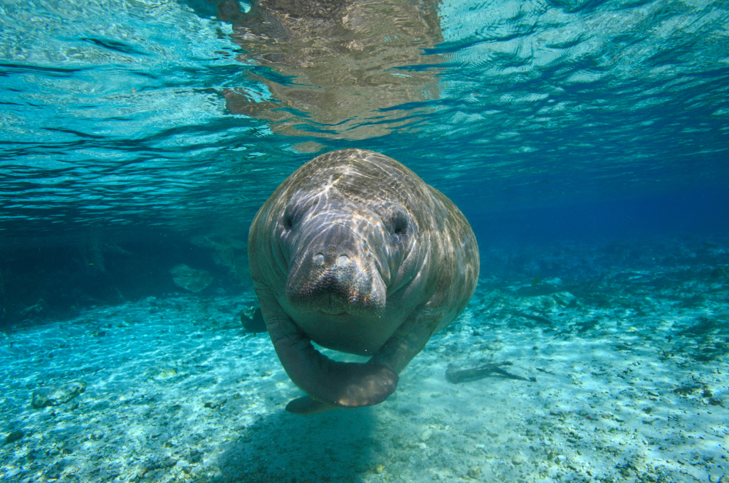 AI Job Cuts on Wall Street: What Employees and Employers Should Understand Now